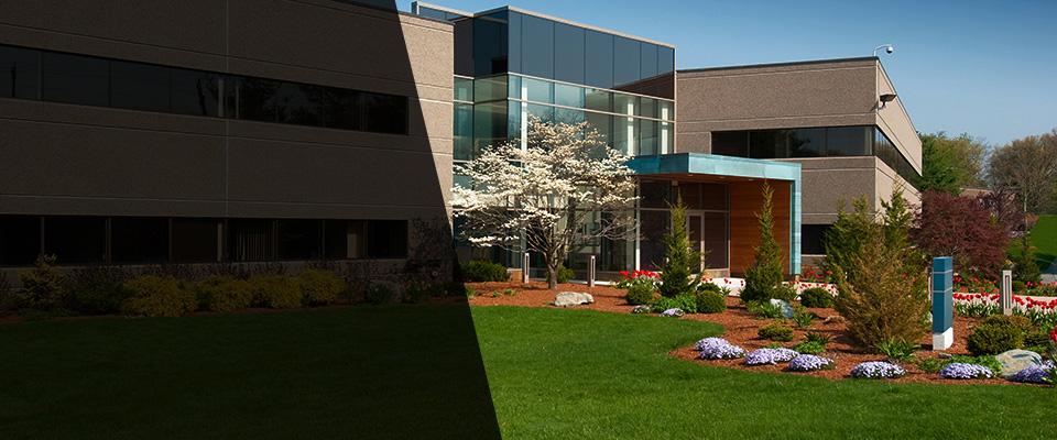 Selbyville Landscapers