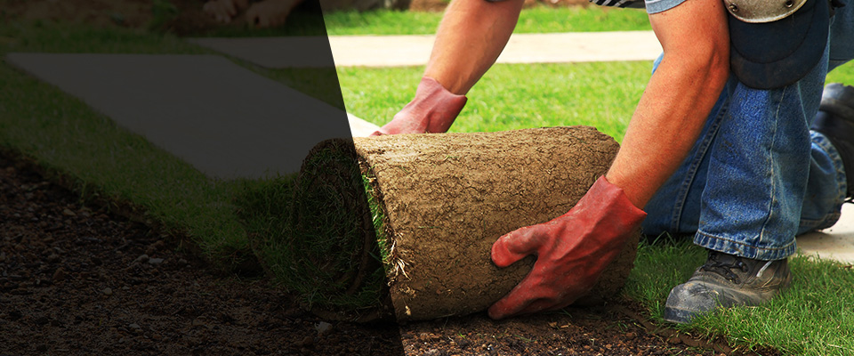 Selbyville Landscapers